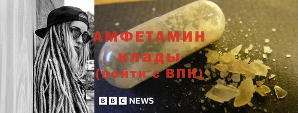 мет Алексин