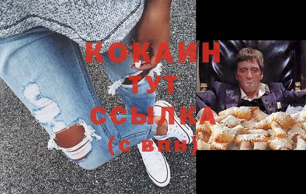 индика Алзамай