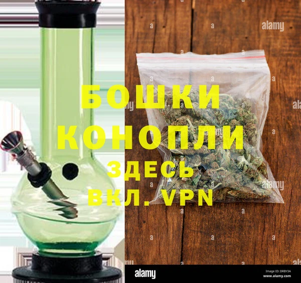 индика Алзамай