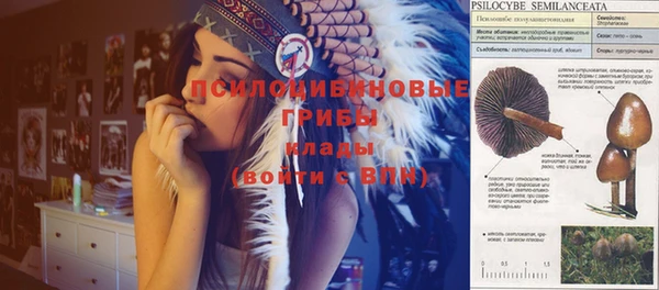 молекула духа Алексеевка