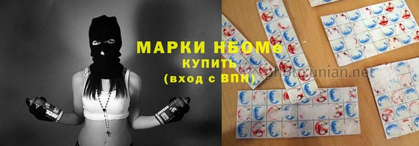 мет Алексин